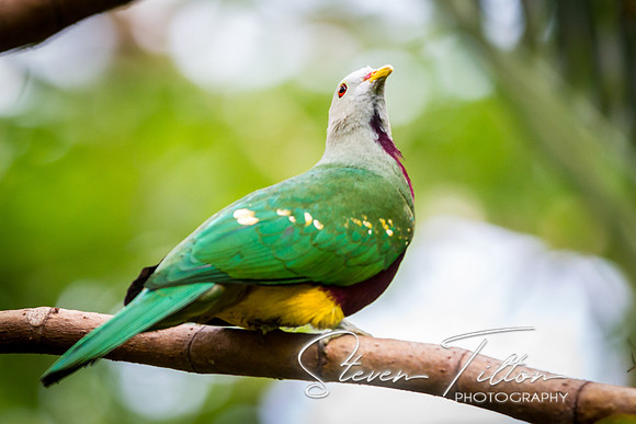 Asheboro Zoo