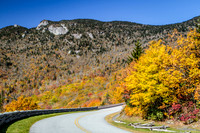 Mountain Foilage