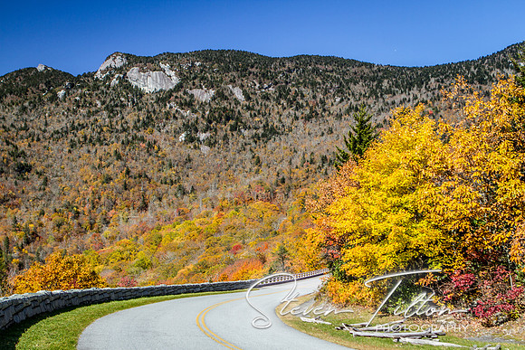 Mountain Foilage