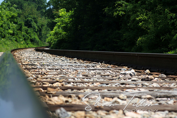 Curved Tracks