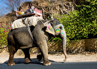 Various Sights in Jaipur