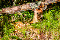 Banner Elk, NC Visit