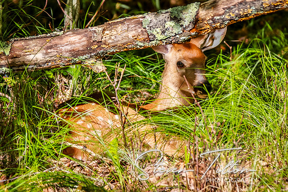 Banner Elk, NC Visit