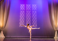 Destiny Winter Gala 2013