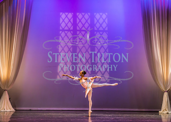 Destiny Winter Gala 2013