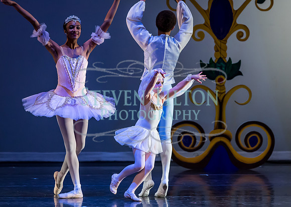 DDI Winter Gala III
