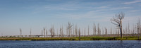 Wilmington River Cruise