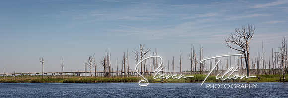 Wilmington River Cruise