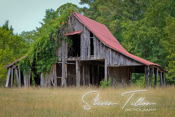 Country Scenes