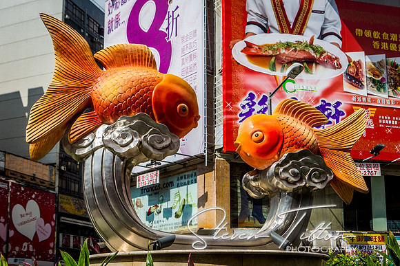 Hong Kong Travels