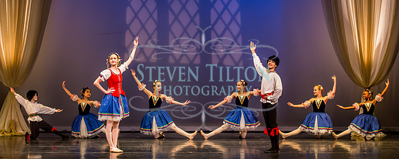 Destiny Winter Gala 2013