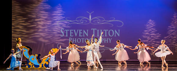 Destiny Winter Gala 2013