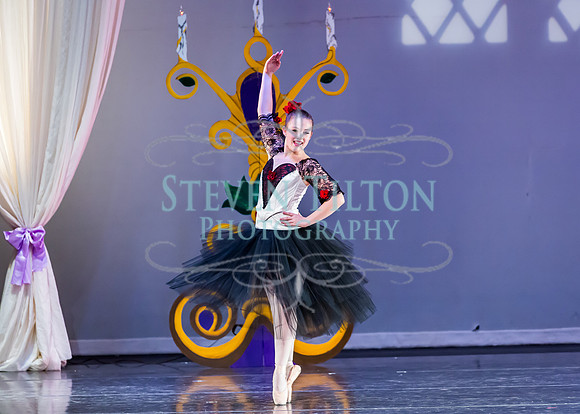 DDI - A Winter Gala