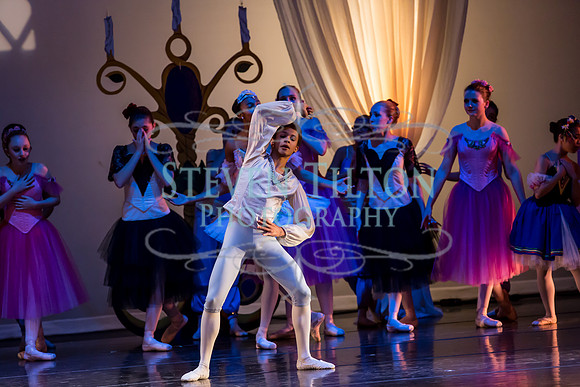 DDI Winter Gala III