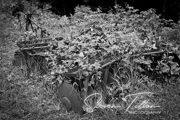 IMG_5943-1