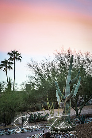 Paradise City, Arizona