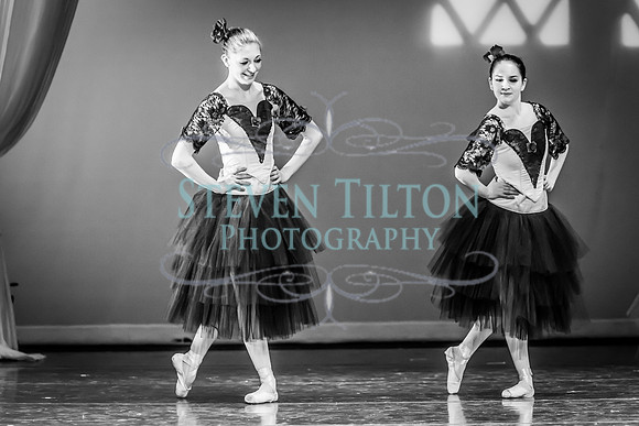 Destiny Winter Gala 2013