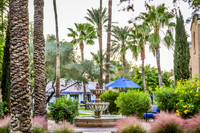 Paradise City, Arizona
