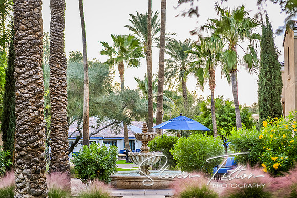 Paradise City, Arizona