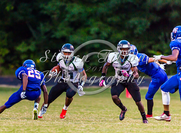 SE Raleigh @ Wake Forest Var Football
