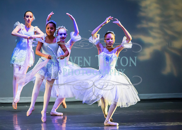 DDI Winter Gala III