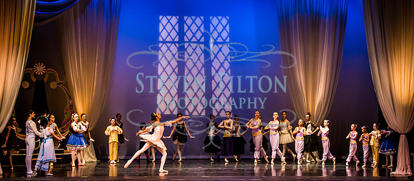 Destiny Winter Gala 2013