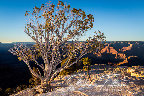 Grand Canyon National Park