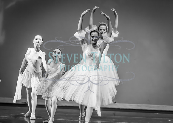 DDI - A Winter Gala