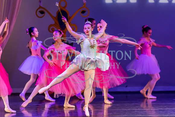 DDI - A Winter Gala
