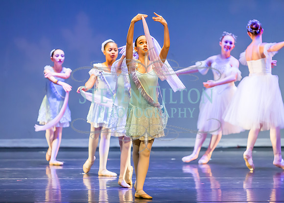 DDI - A Winter Gala