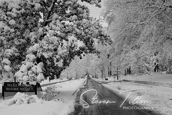 Christmas Snow