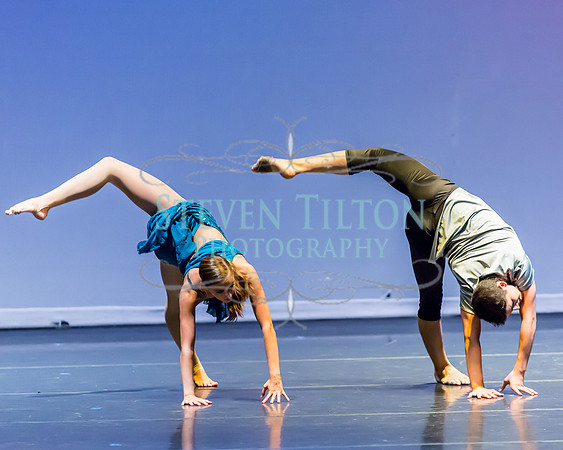 Destiny Dance - A Summer Gala