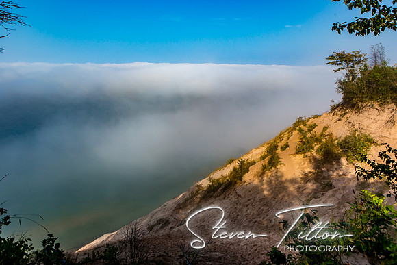 Log Slide Overlook