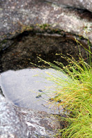 Mountain Water
