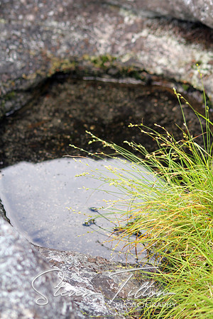 Mountain Water