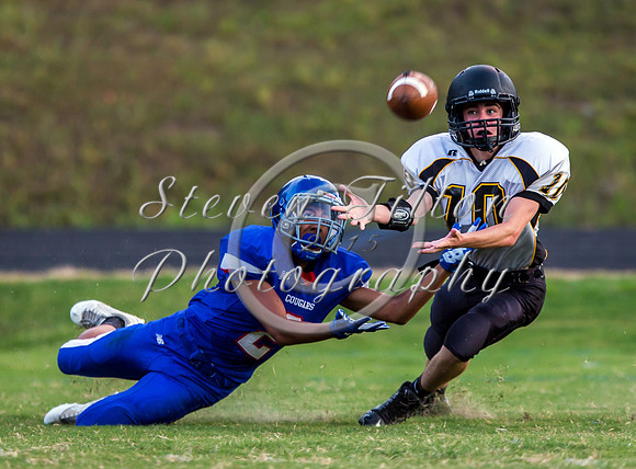 Apex @ Wake Forest JV Football