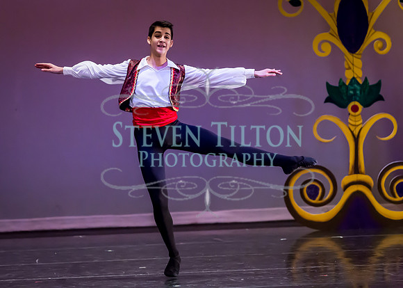 DDI Winter Gala III
