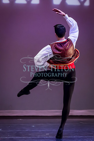 DDI Winter Gala III