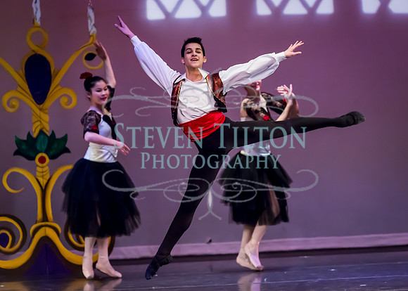 DDI Winter Gala III