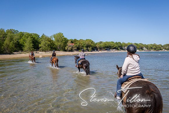 Horseback Riding