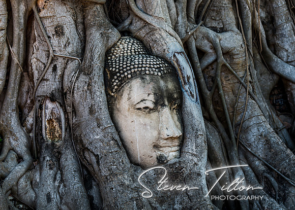 Ayutthaya Historical Park