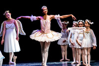 DDI Winter Gala III