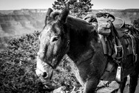 Grand Canyon National Park