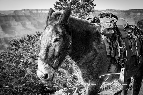 Grand Canyon National Park