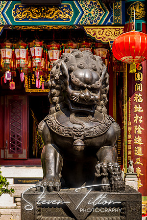 Hong Kong Travels