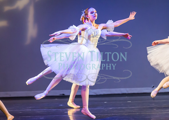 DDI - A Winter Gala