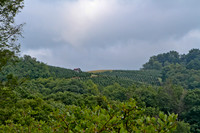 IMG_5957-1