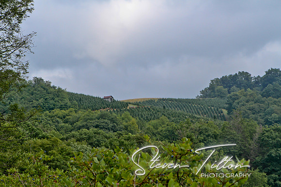 IMG_5957-1