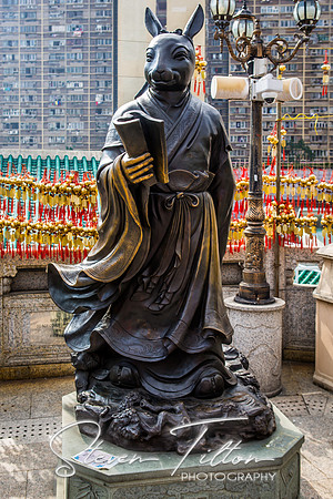 Hong Kong Travels