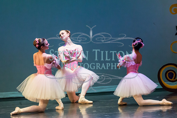 DDI Winter Gala III
